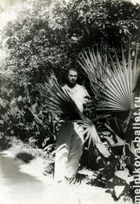 У пальмы, Сочи, 1959 г., фото 31