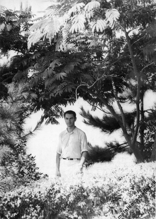 Михаил Яковлевич Мельников в парке среди тропических растений, Сочи, 1959 год, фото 37