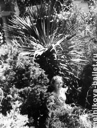 Сочи, в парке, 1959 г., фото 12