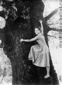 Сочи, на дереве, 1959 г., фото 13