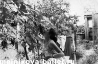 Виноград, Фальшивый Геленджик, ~ 1960 г., фото 19