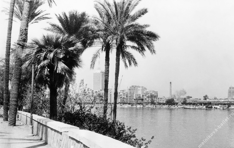Набережная Нила, пальмы - Каир, Египет, 1968 год, фото 3