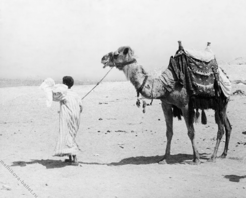 Каир (район Гиза) - мальчик с верблюдом, Египет, 1968 год, фото 7