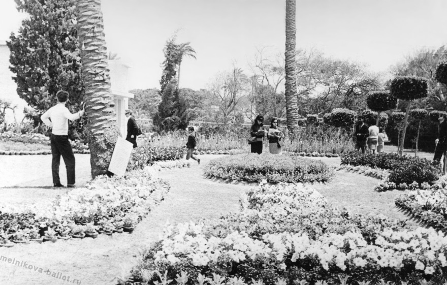 Выставка цветов в Александрии - Египет, 1968 год, фото 42