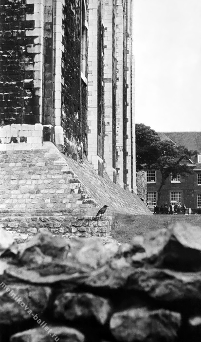Птица (видимо, ворона) на фундаменте Тауэра - Лондон, Великобритания, 1966 год, фото 36