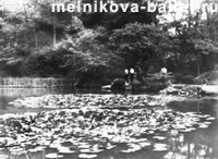 Пруд в парке, Япония, 1969 год, фото 31
